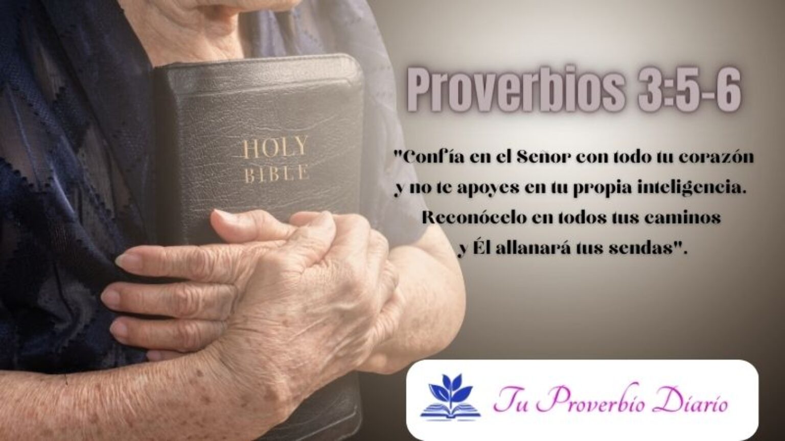 Imágenes de Proverbios Biblicos Tu Proverbio Diario