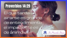Proverbios 14:29