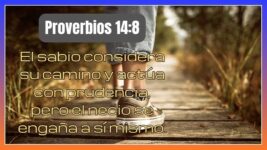 Proverbios 14:8