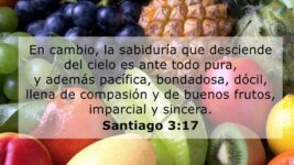 Santiago-3-17-Palabra-Diaria