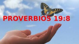 proverbios-19-8-Palabra-Diaria