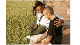 relaciones_humanas_sinceridad_proverbios