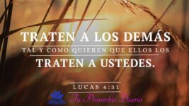 Luclas-6-31