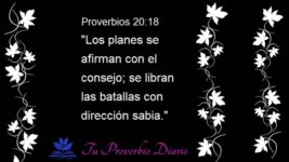 Los Planes se Afirman con el Consejo | Reflexión sobre Proverbios 20:18