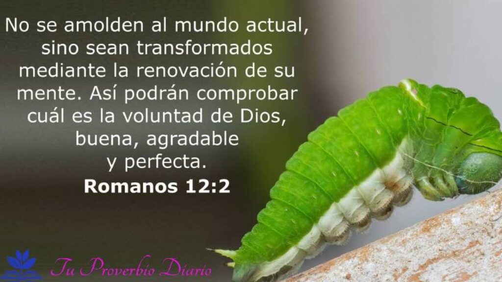 Reflexión Cristiana sobre Romanos 122 Renovando la mente para la