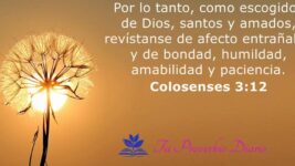Colosenses-3-12