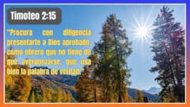 Presentarse a Dios Aprobado | Reflexión sobre 2 Timoteo 2:15