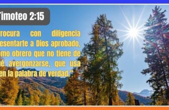 Presentarse a Dios Aprobado | Reflexión sobre 2 Timoteo 2:15