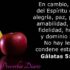 Seamos Amables | Reflexión sobre Efesios 4:32