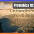 El Peligro de Confiar en las Riquezas | Reflexión sobre Proverbios 11:28