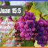 Reflexión Cristiana sobre Mateo 22:39: Amar Tu Prójimo como a Ti Mismo