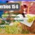 Reflexión Cristiana de Proverbios 24:3-4 | La sabiduría trae consigo frutos de abundancia
