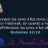 Dios Suplirá | Reflexión Cristiana sobre Filipenses 4:19