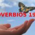 La Virtud de la Justicia: Reflexión sobre Proverbios 16:8